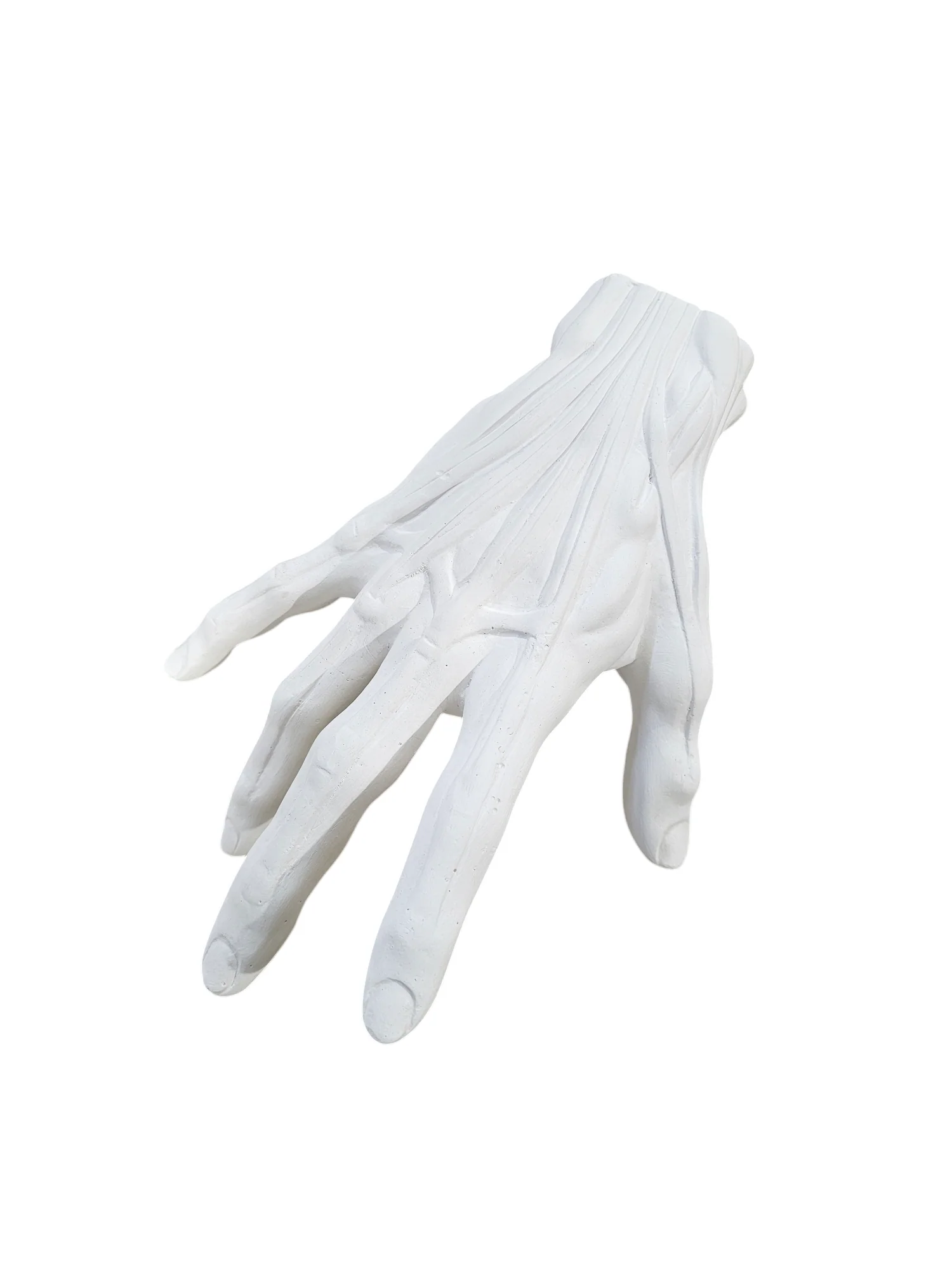 Plaster Anatomical Hand Large