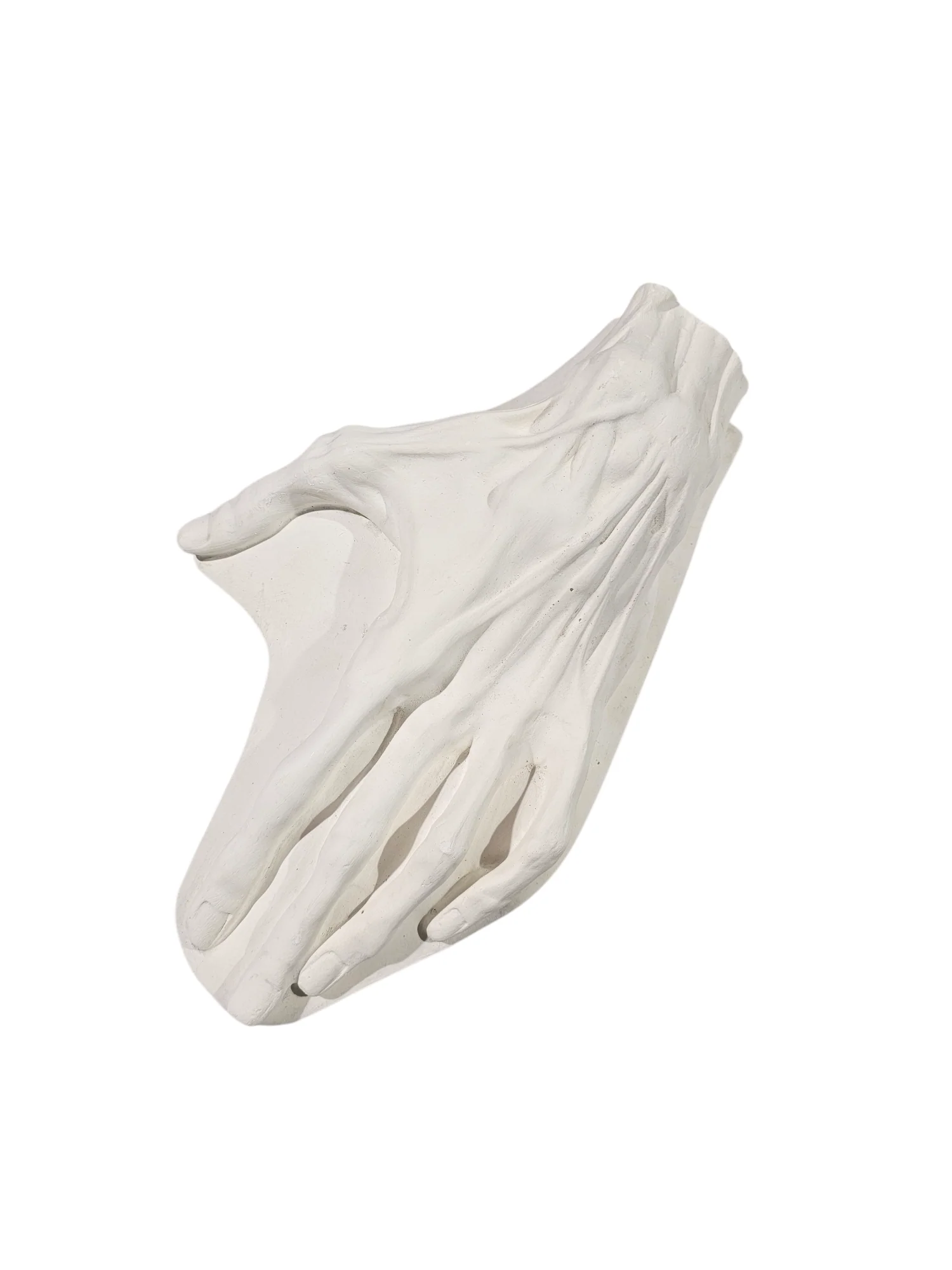 Plaster Anatomical Hand Plaque