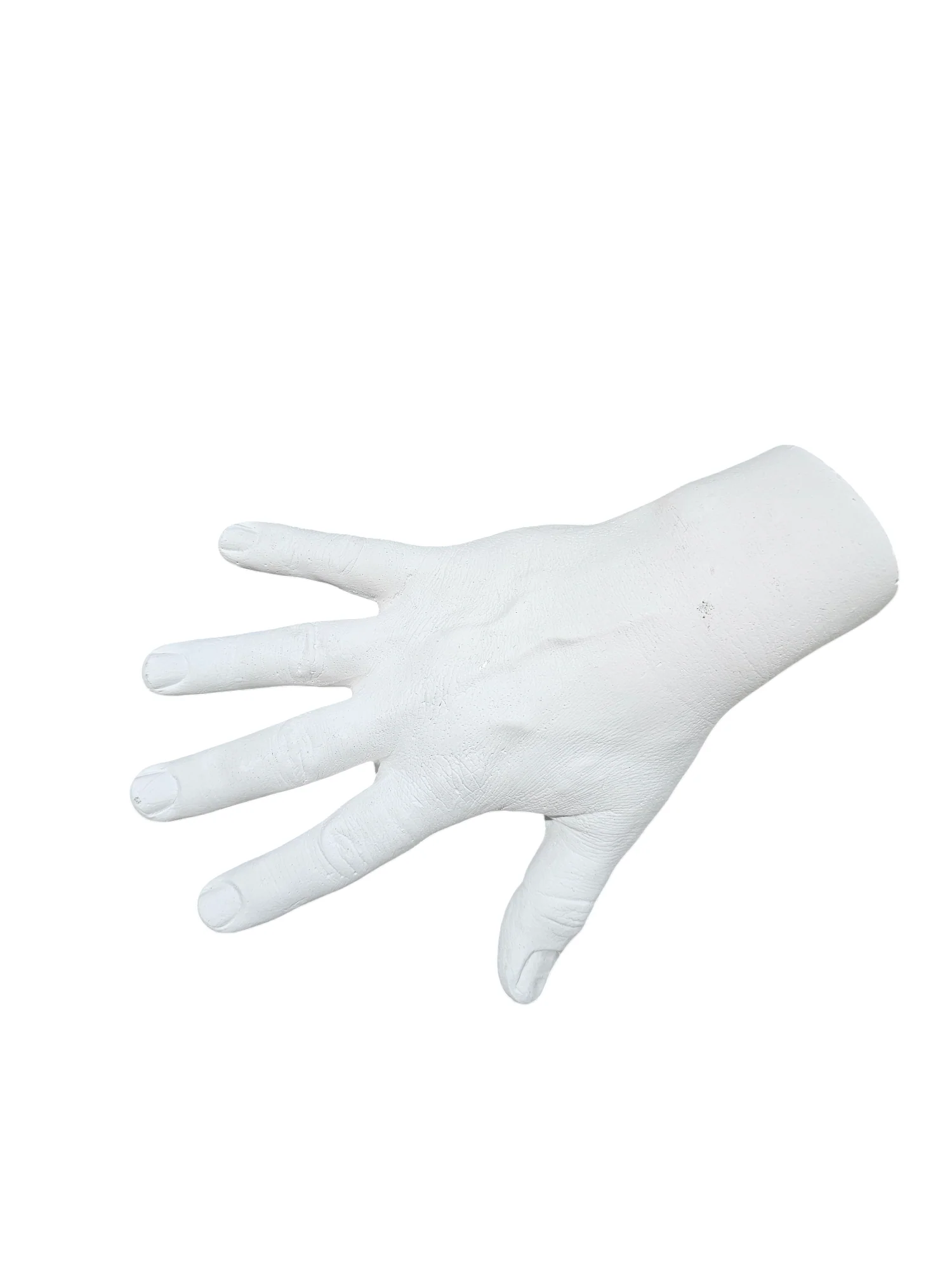 Plaster Mike's Hand (life-sized)