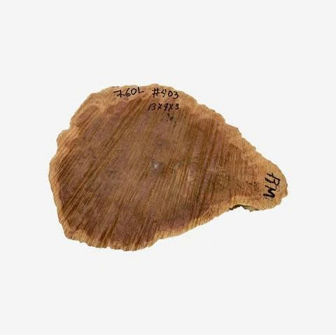 Red Mallee Burl Cap #403, 13 x 9 x 3 inches, 7.60 lbs - Image 3