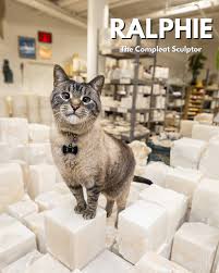 Shop Cats of New York (Revised and Expanded) - Image 2