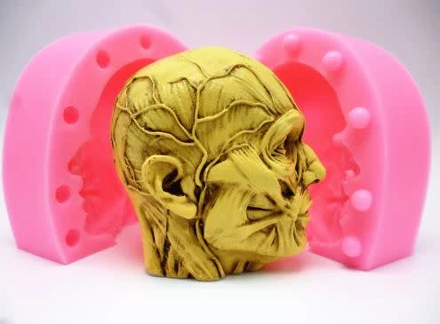Anatomical Head (2 part) Silicone Mold - Image 3