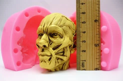 Anatomical Head (2 part) Silicone Mold - Image 5