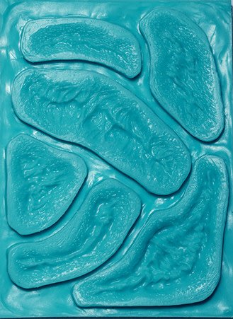 S.O.S.2 Molds Wounds (assorted)