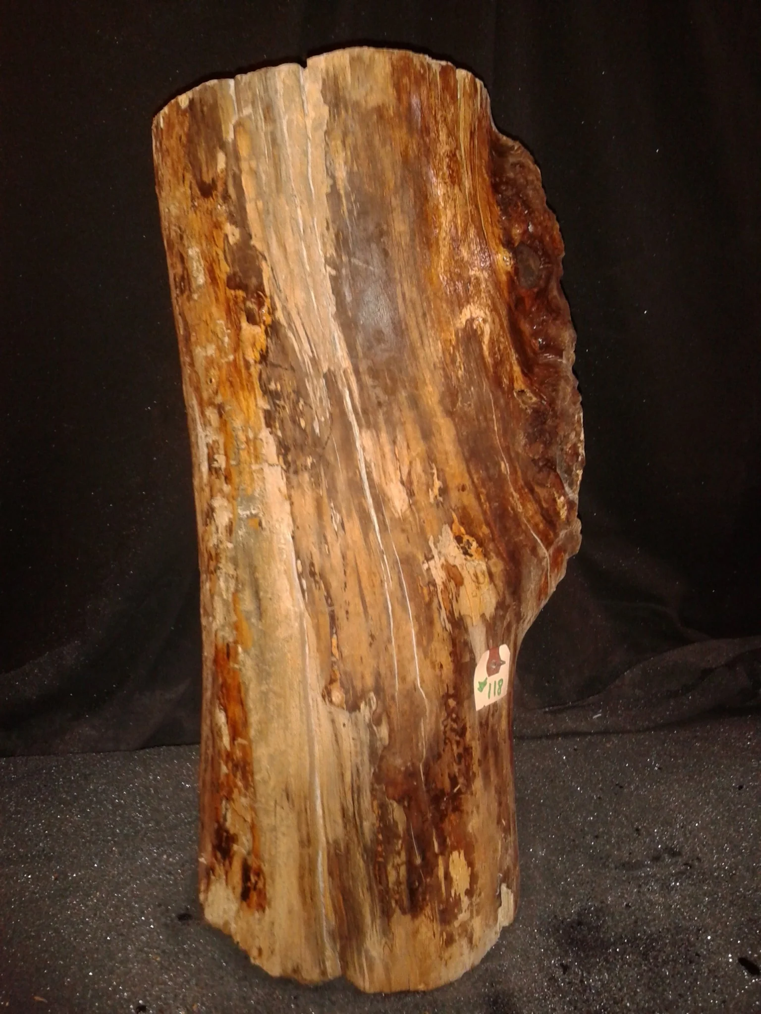 Spalted Maple Log 8"Dx20"H 26lbs #15353 - Image 5
