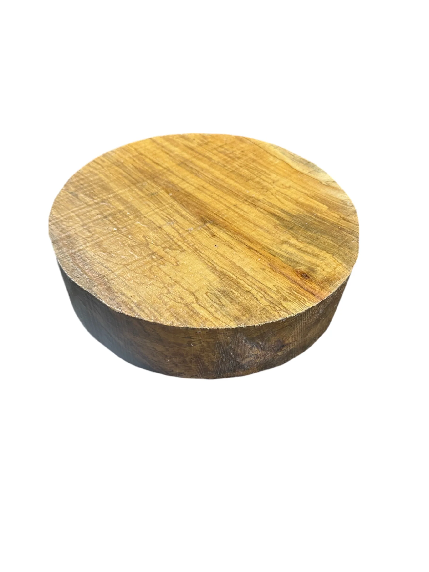 SPALTED MISSOURI HARD MAPLE Round Block 12x3"