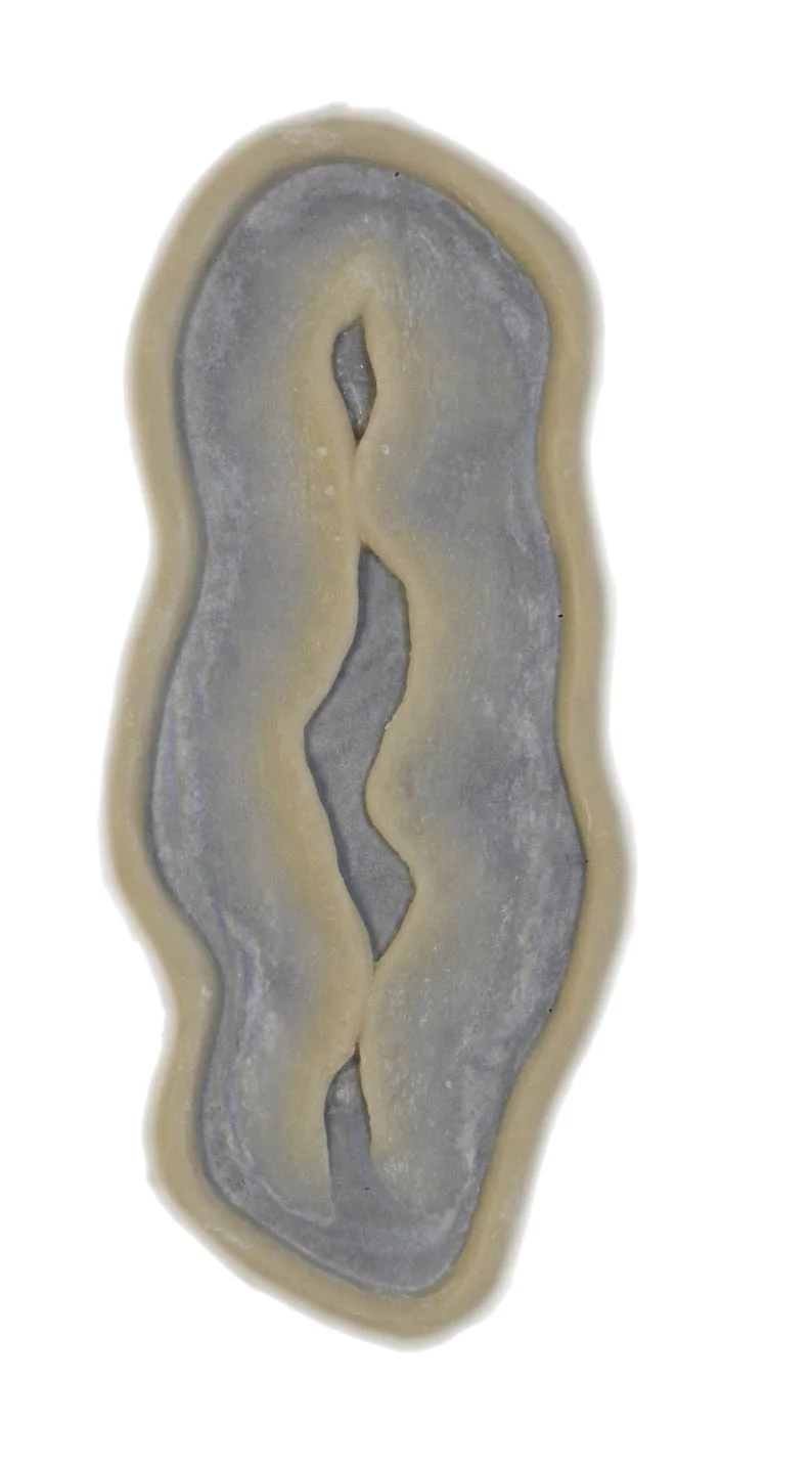 Sutures - C11/C12 Silicone Prosthetic - Image 2