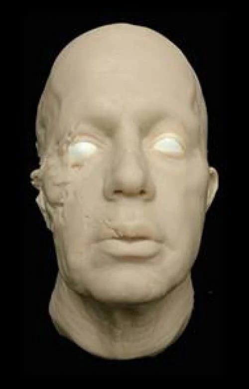 Tim Gore Fresh Zombie Head