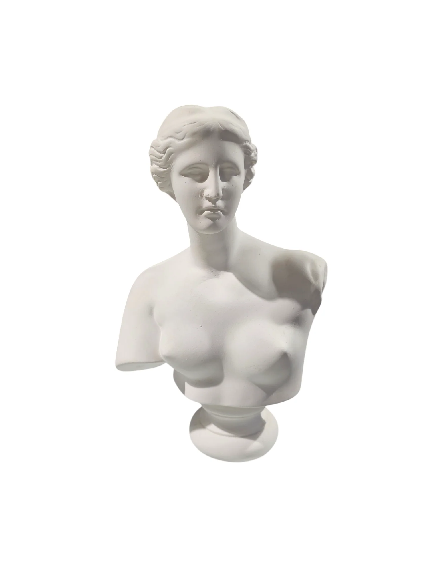 Venus Plaster Bust 14"