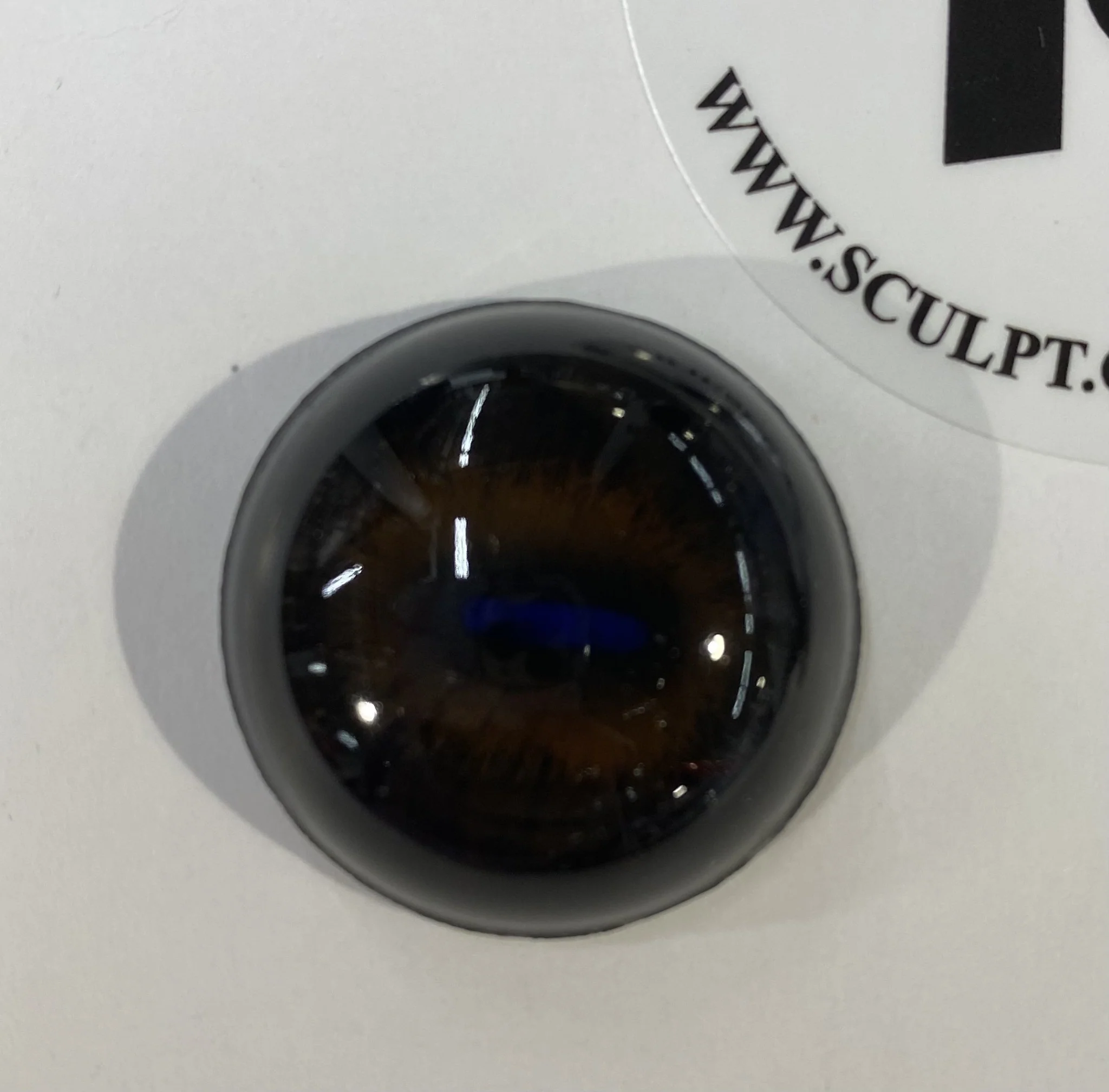 Vintage Glass Eyes Dark Brown (Glow-Blue Pupil) 1"x1/3" (Pair) - Image 2